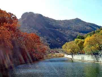 澳门精准一肖一码一一中，大鹏背景